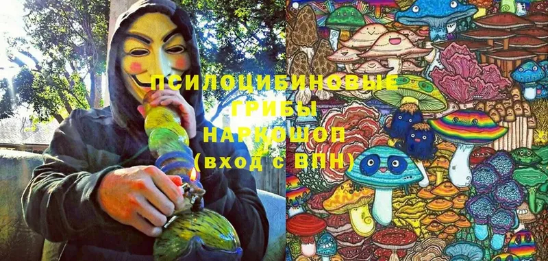 Галлюциногенные грибы Psilocybine cubensis  Жуковский 